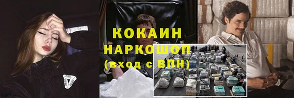 mdpv Ельня