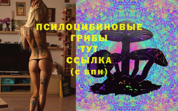 mdpv Ельня