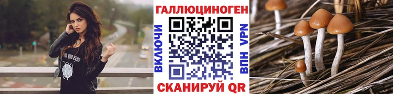 Псилоцибиновые грибы MAGIC MUSHROOMS  Купить где  Петровск-Забайкальский 